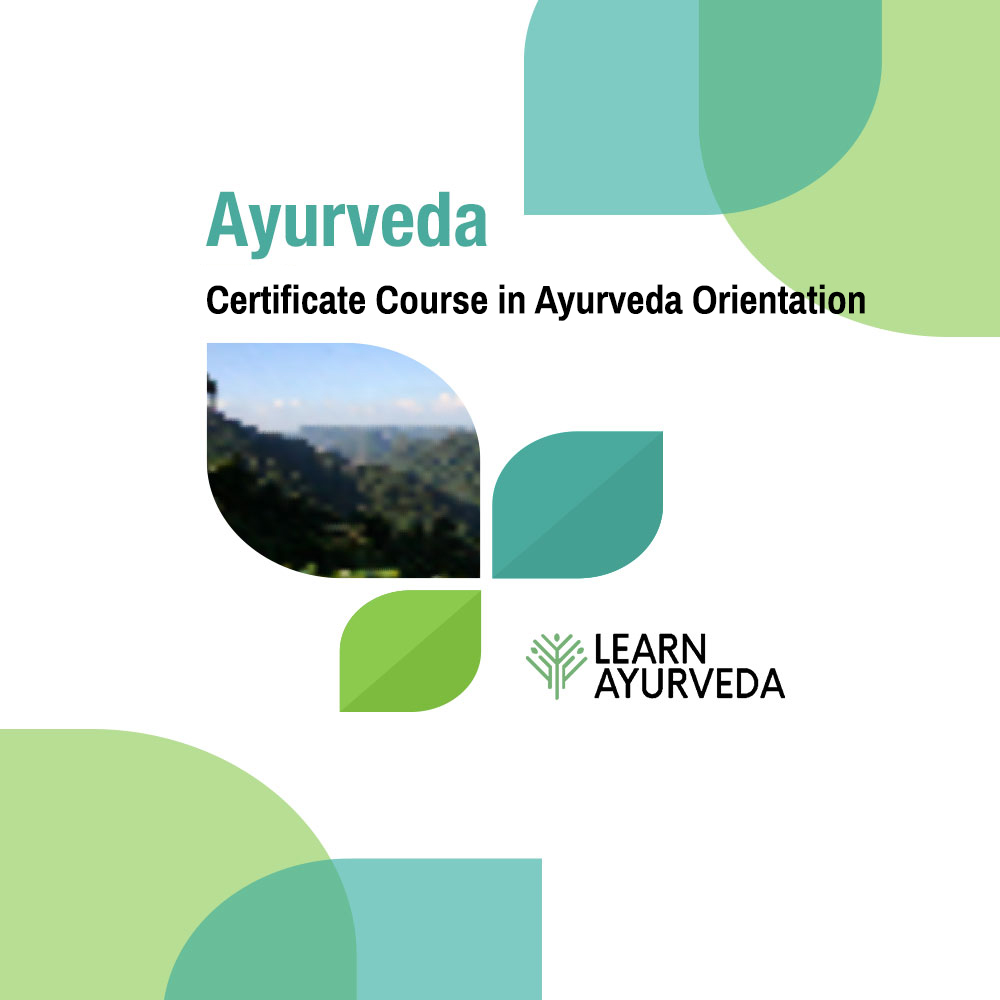 Ayurveda-Orientation